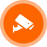 Surveillance Icon